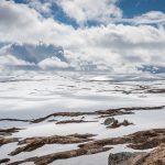 20150614 173312 Hardangervidda 800